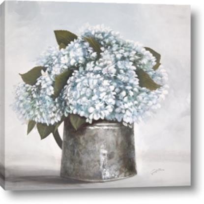 Picture of Tin Pot Hydrangea