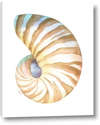 Picture of Seashell I