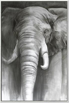 Picture of Black Elephant