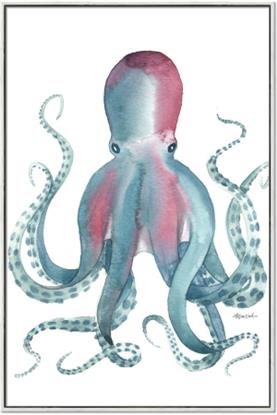 Picture of Octopus