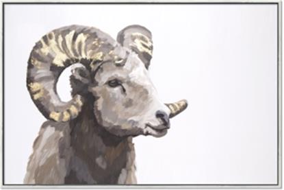 Picture of Ram