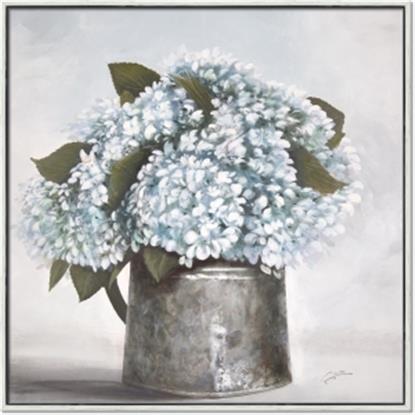 Picture of Tin Pot Hydrangea