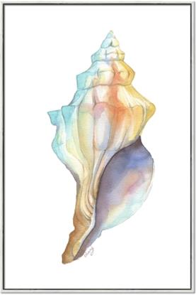 Picture of Seashell II