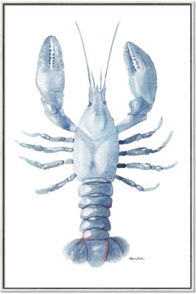 Picture of Blue Crayfish