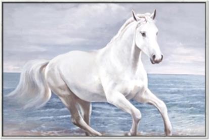 Picture of Wild Horse