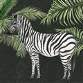 Picture of Zebra In The Jungle _GroupedProduct_Square_Unframed_Print_Only_