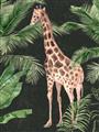 Picture of Giraffe In The Jungle _GroupedProduct_Rectangle_Portrait_Unframed_Print_Only_