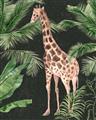 Picture of Giraffe In The Jungle _GroupedProduct_Rectangle_Portrait_Unframed_Print_Only_