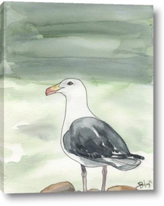 Picture of Sea Gull