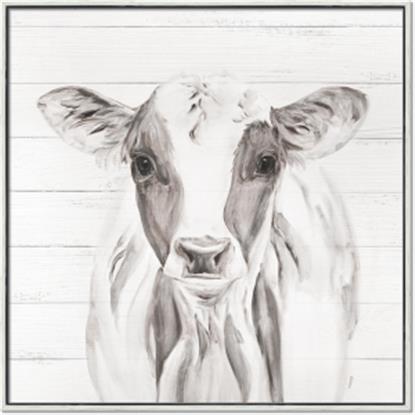 Picture of Frontal Cow Portrait