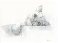 Picture of Cute cat _GroupedProduct_Rectangle_Landscape_Unframed_Print_Only_