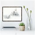 Picture of Cute cat _GroupedProduct_Rectangle_Landscape_Canvas_Framed_