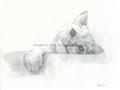 Picture of Cute cat _GroupedProduct_Rectangle_Landscape_Unframed_Print_Only_