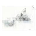 Picture of Cute cat _GroupedProduct_Rectangle_Landscape_Unframed_Print_Only_