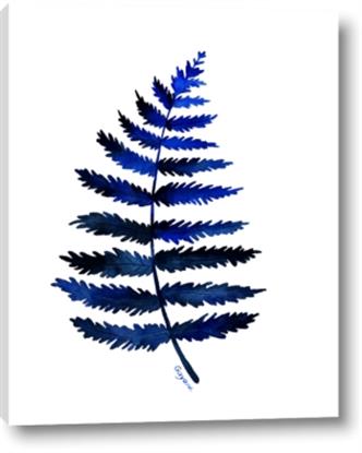 Picture of Indigo Fern