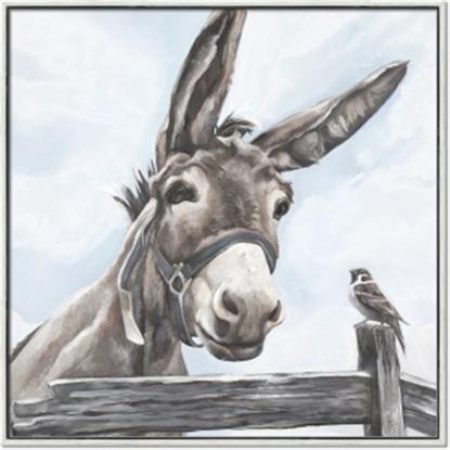 Picture of Donkey time
