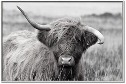 Picture of Betty