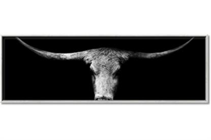 Picture of Horns