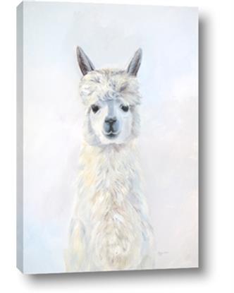 Picture of White Llama