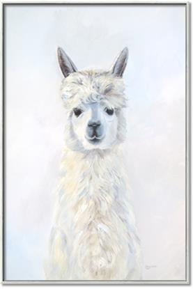 Picture of White Llama