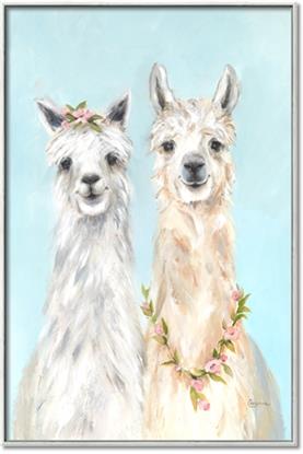 Picture of Friendly Llamas
