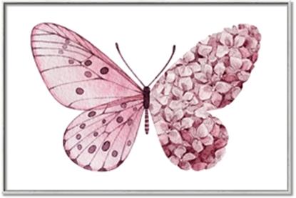 Picture of Pink Butterfly
