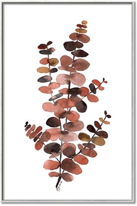 Picture of Rust Color Eucalyptus I 
