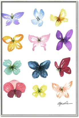 Picture of Butterfly Club