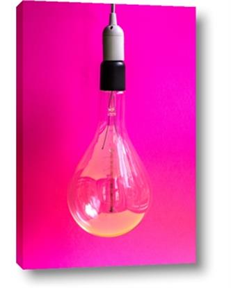 Picture of Hot Pink Light Bulb