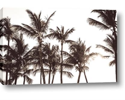 Picture of Cali Palms Sepia Collection