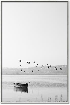 Picture of Birds over the Water