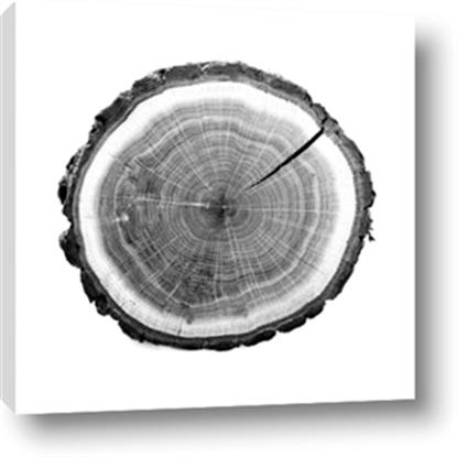 Picture of Log Slice I