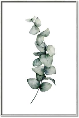Picture of Leaves IV