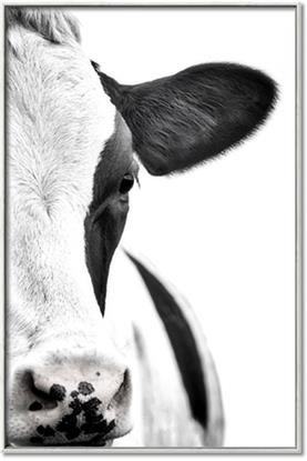 Picture of Side Cow