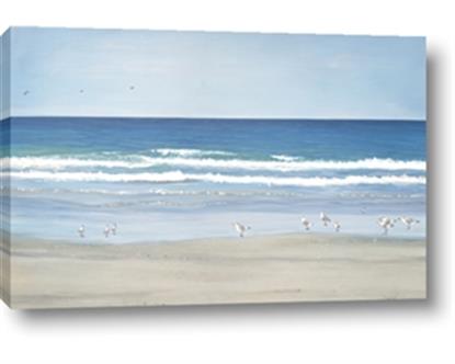 Picture of Birds on the Beach