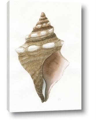 Picture of Sea Shell I