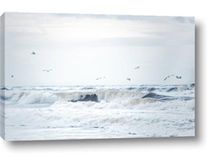 Picture of Seagulls Over the Water