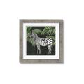 Picture of Zebra In The Jungle _GroupedProduct_Square_Framed_Matted_
