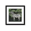 Picture of Zebra In The Jungle _GroupedProduct_Square_Framed_Matted_