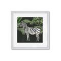 Picture of Zebra In The Jungle _GroupedProduct_Square_Framed_Matted_