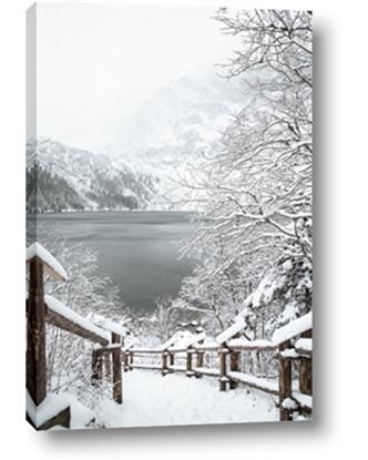 Picture of Snowy Bridge