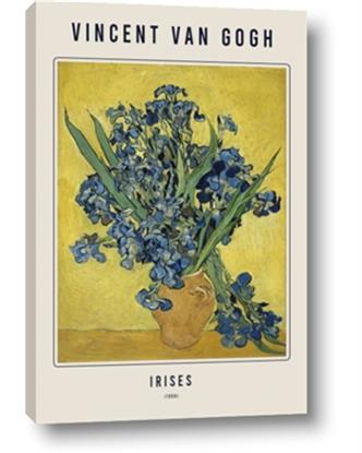 Picture of Irises