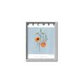 Picture of Peach Fruit Fusion _GroupedProduct_Rectangle_Portrait_Canvas_Framed_