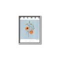 Picture of Peach Fruit Fusion _GroupedProduct_Rectangle_Portrait_Canvas_Framed_