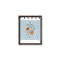 Picture of Peach Fruit Fusion _GroupedProduct_Rectangle_Portrait_Canvas_Framed_