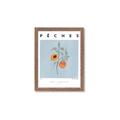 Picture of Peach Fruit Fusion _GroupedProduct_Rectangle_Portrait_Framed_Matted_