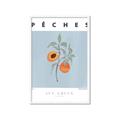 Picture of Peach Fruit Fusion _GroupedProduct_Rectangle_Portrait_Framed_Matted_