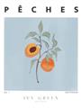 Picture of Peach Fruit Fusion _GroupedProduct_Rectangle_Portrait_Unframed_Print_Only_