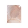 Picture of Peach Palette Bubbles _GroupedProduct_Rectangle_Portrait_Unframed_Print_Only_