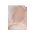 Picture of Peach Palette Bubbles _GroupedProduct_Rectangle_Portrait_Unframed_Print_Only_